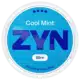 Can you flush zyns down the toilet