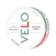 VELO ZINGY EUCALYPTUS STRONG