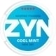 ZYN Cool Mint Mini Dry 9 mg